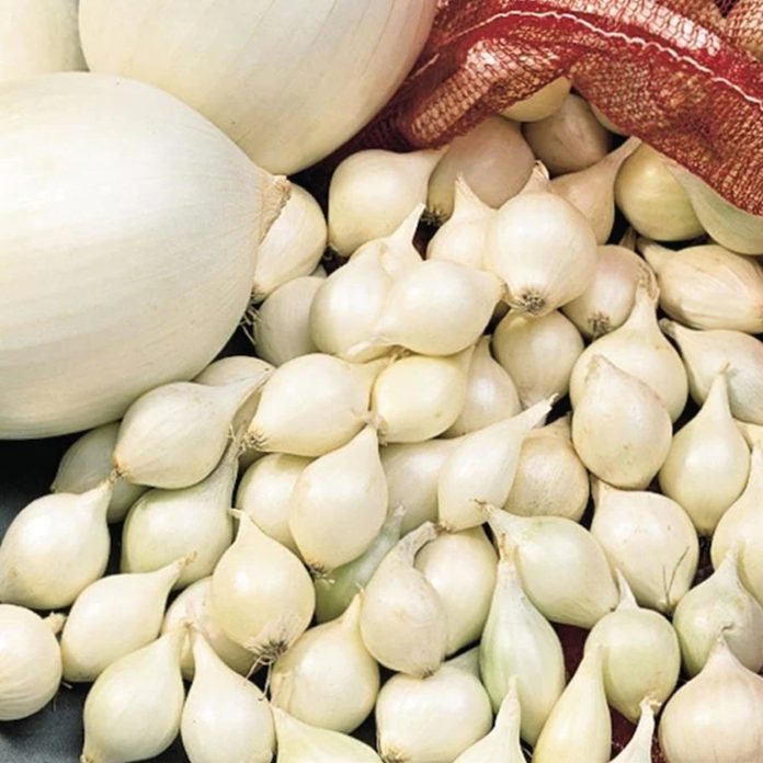 Onions