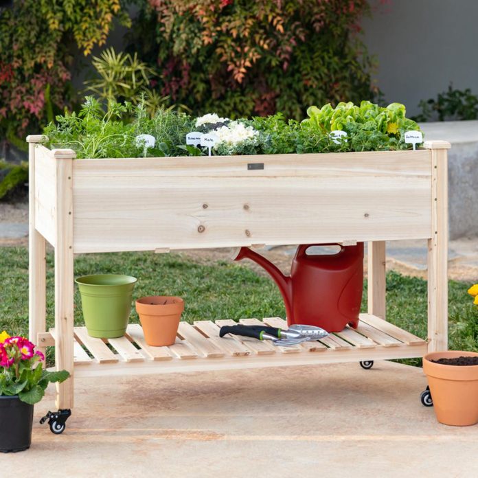 lettuce holder