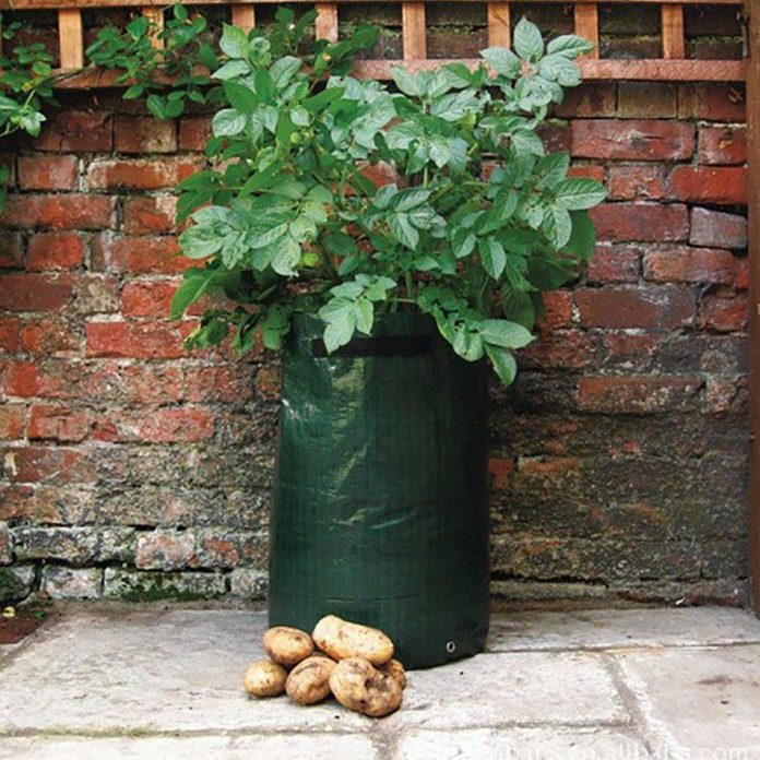 Potato bag