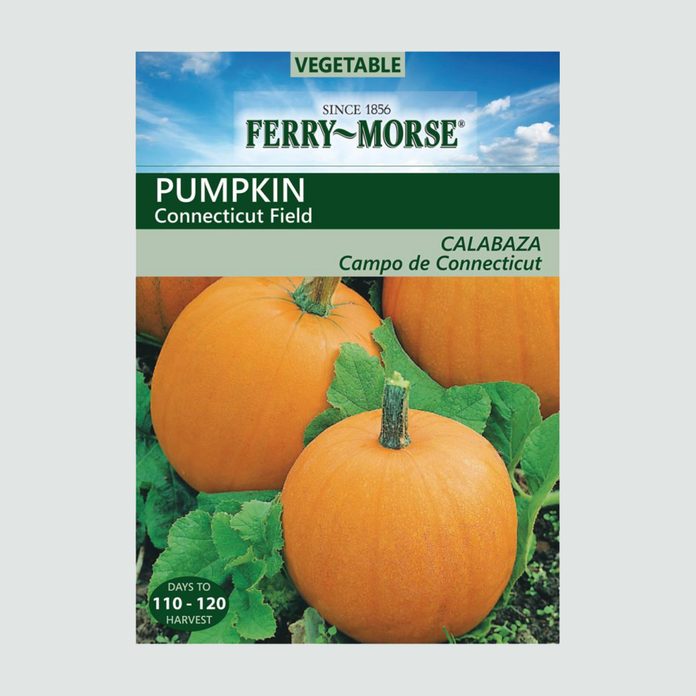Pumpkinseeds