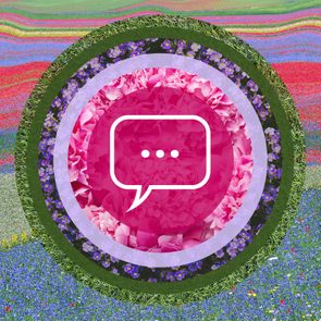 Speech bubble with ellipsis centered on layered floral circles, surrounded by colorful, textured landscape.