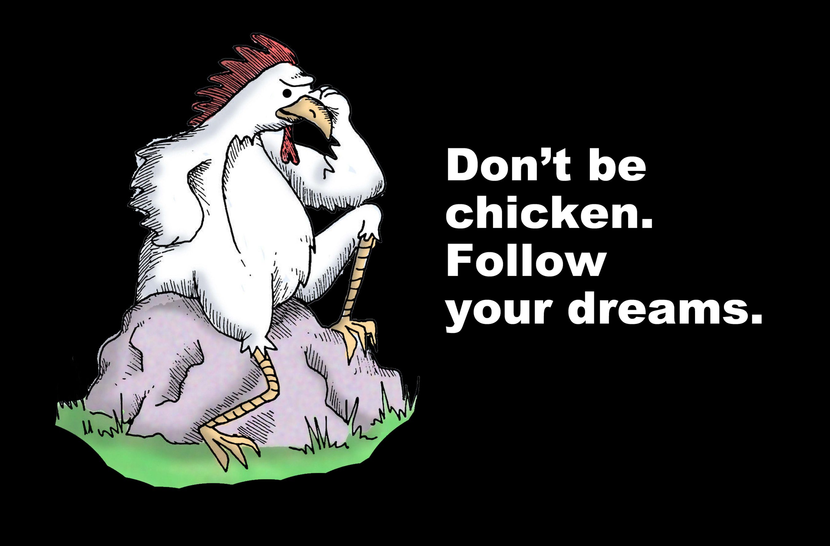 A cartoon chicken stands confidently on a rock, surrounded by grass. Text reads: â€œDonâ€™t be chicken. Follow your dreams.â€