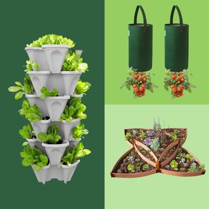 Tiered planters grow lush greens, hangers with tomato plants, and a multi-section raised bed garden exhibit assorted vegetation, set against green backgrounds.