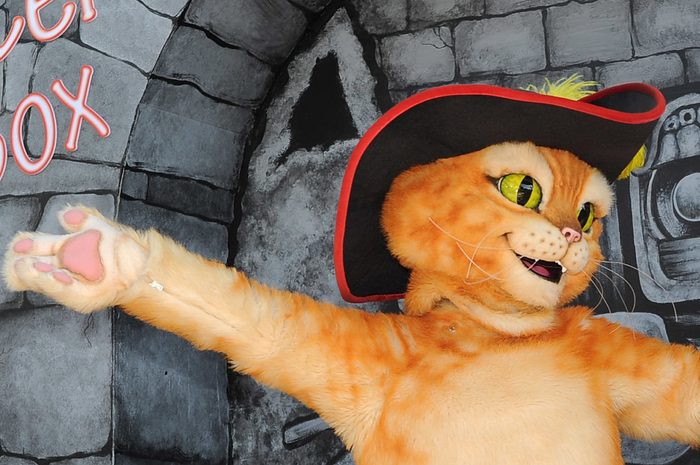 Premiere Of Dreamworks Animation's "Puss In Boots" - Red Carpet