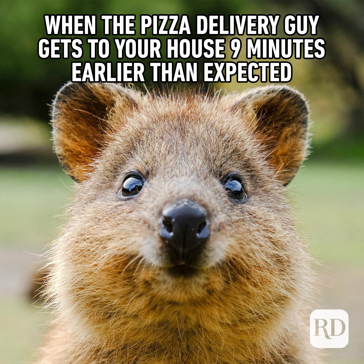 Pizza's here