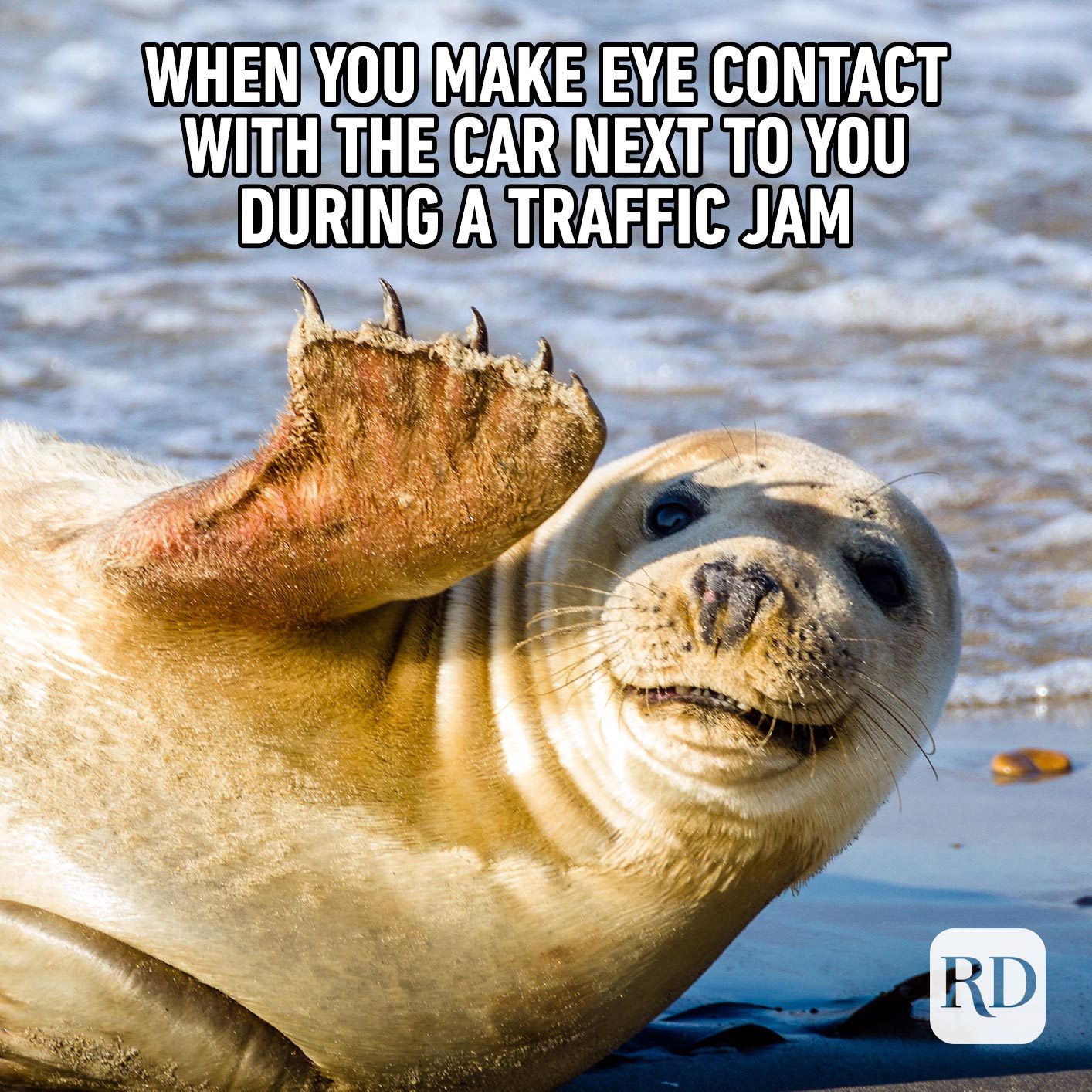 Traffic jam