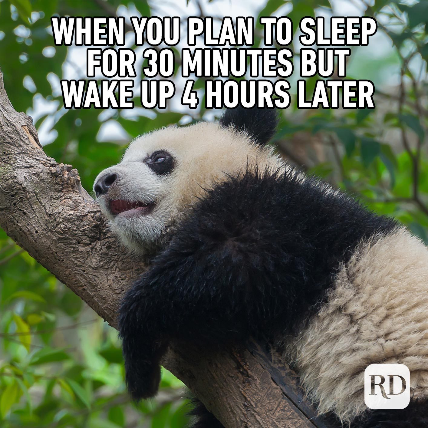 Overslept