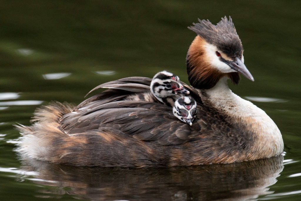 England Prepares To Relax Further Aspects Of Coronavirus Lockdown