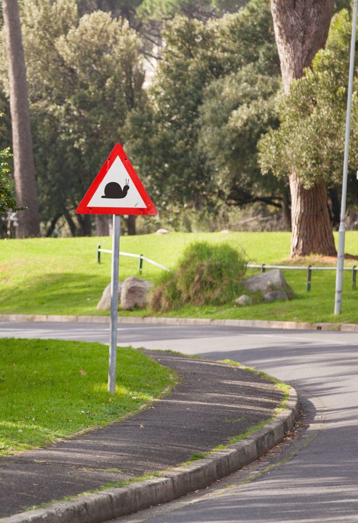 Prepare to really slow down