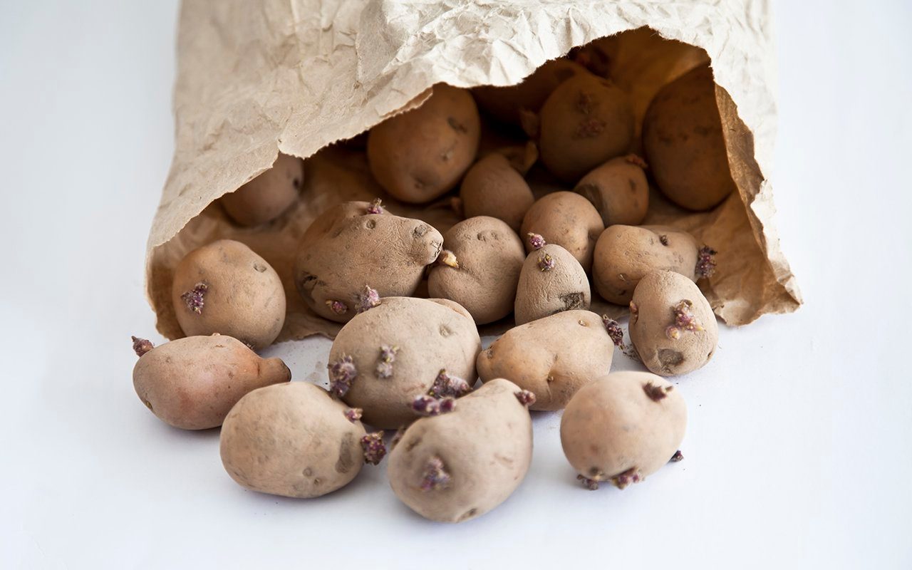 Is It Safe to Eat Sprouted Potatoes?