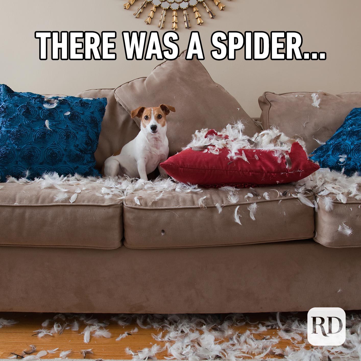 Dog tearing up pillows. Meme text: There was a spider…
