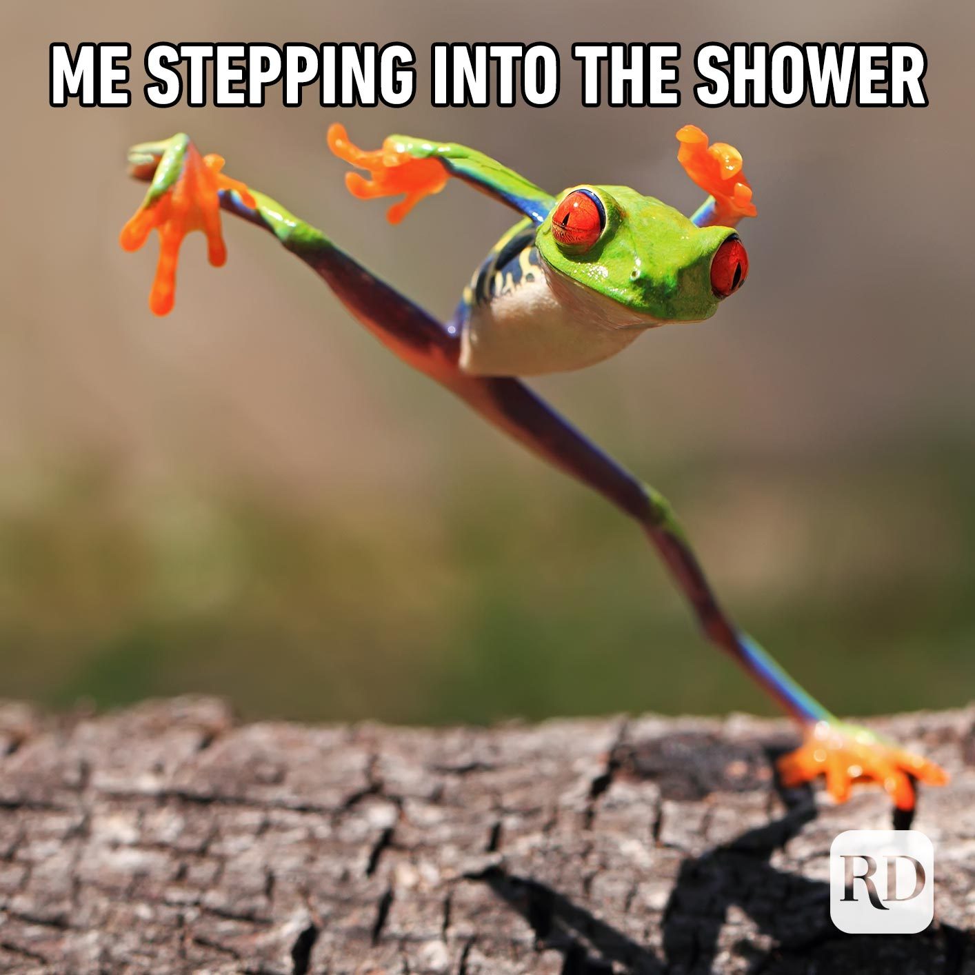 Frog leaping. Meme text: Me stepping into the shower