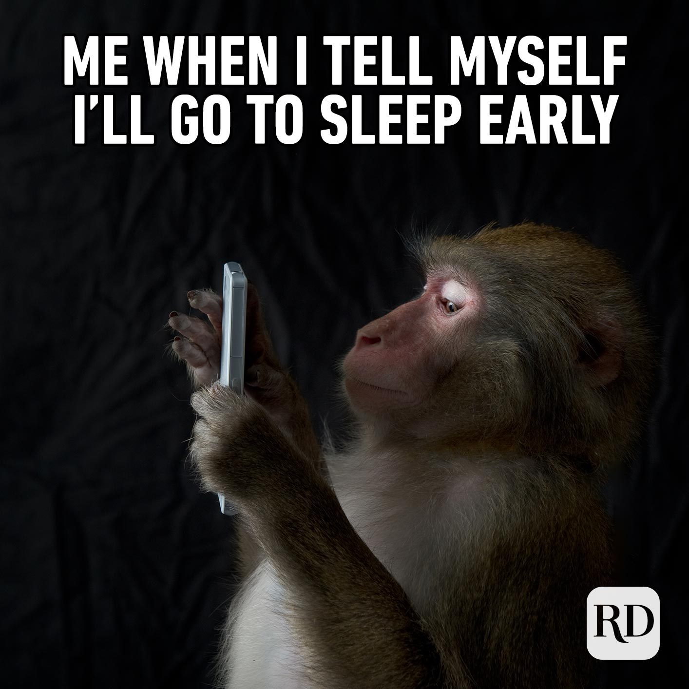 Monkey on a phone. Meme text: Me when I tell myself I’ll go to sleep early.
