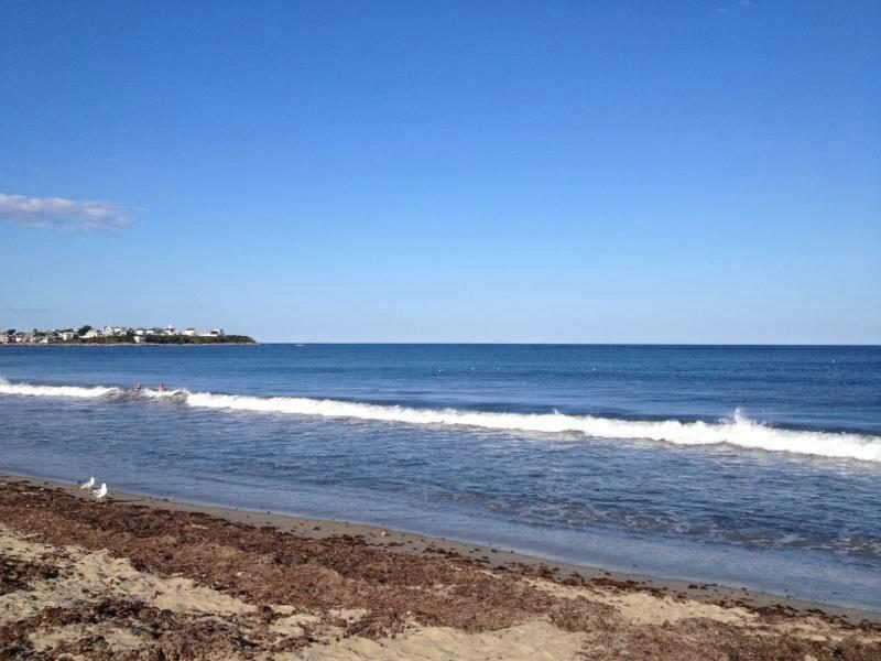 new hampshire hampton beach state park camping