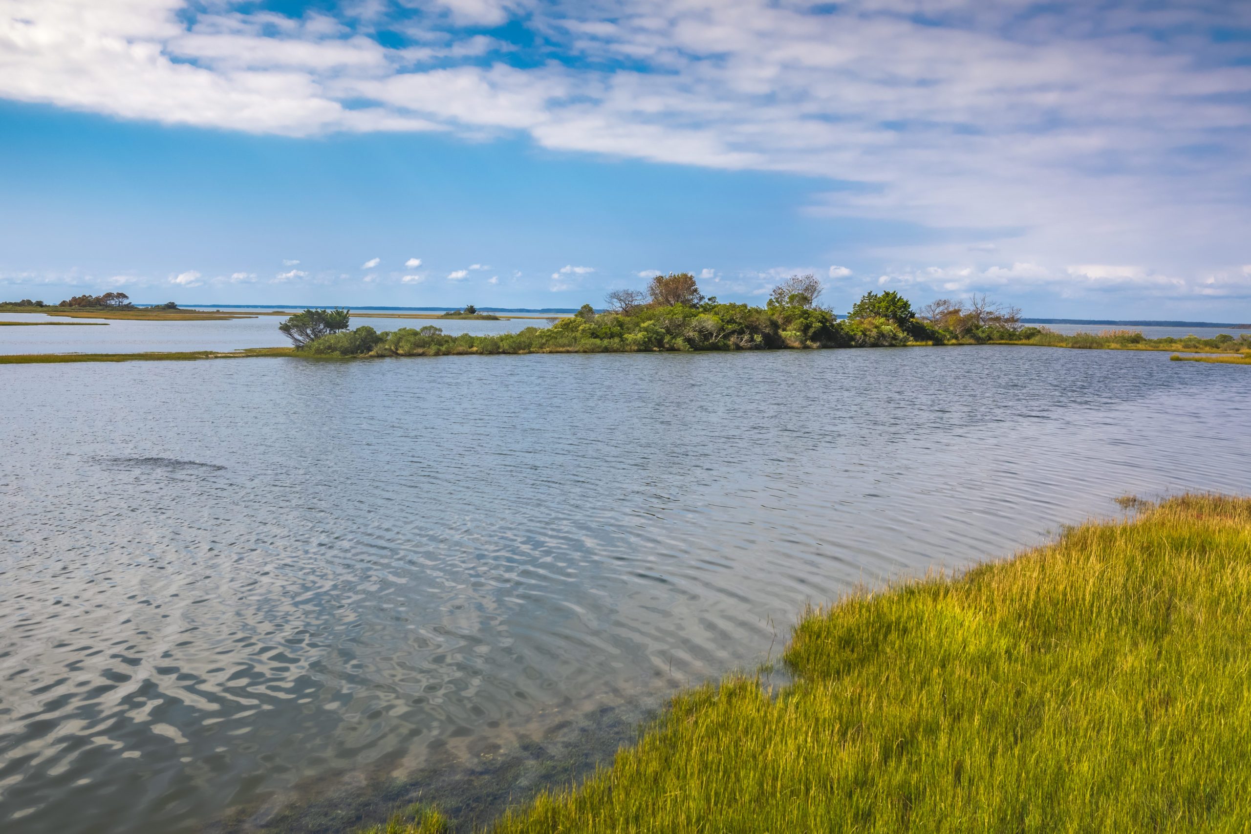 Life of the Marsh Nature Trail at Assateague National Seashore