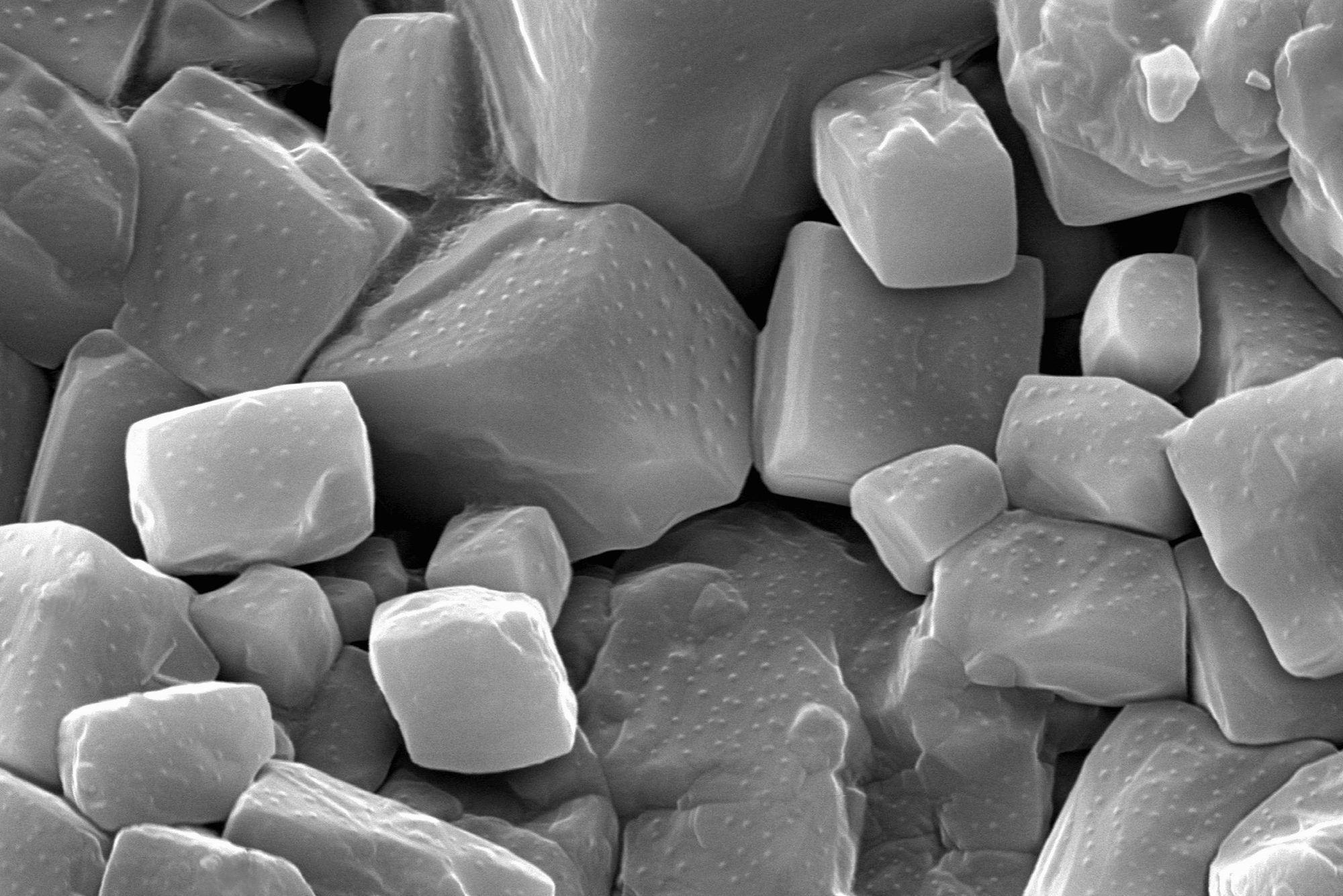 Margarita salt, SEM