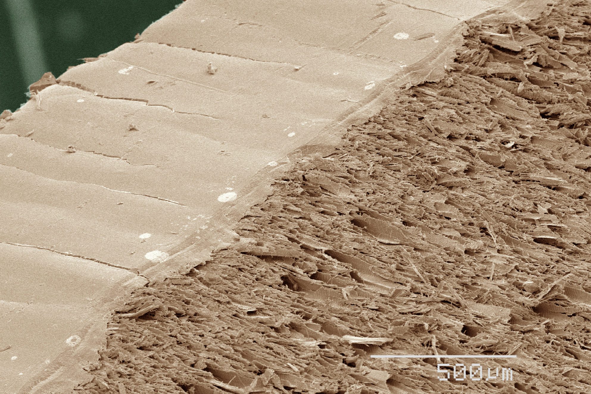 Coloured SEM of pencil