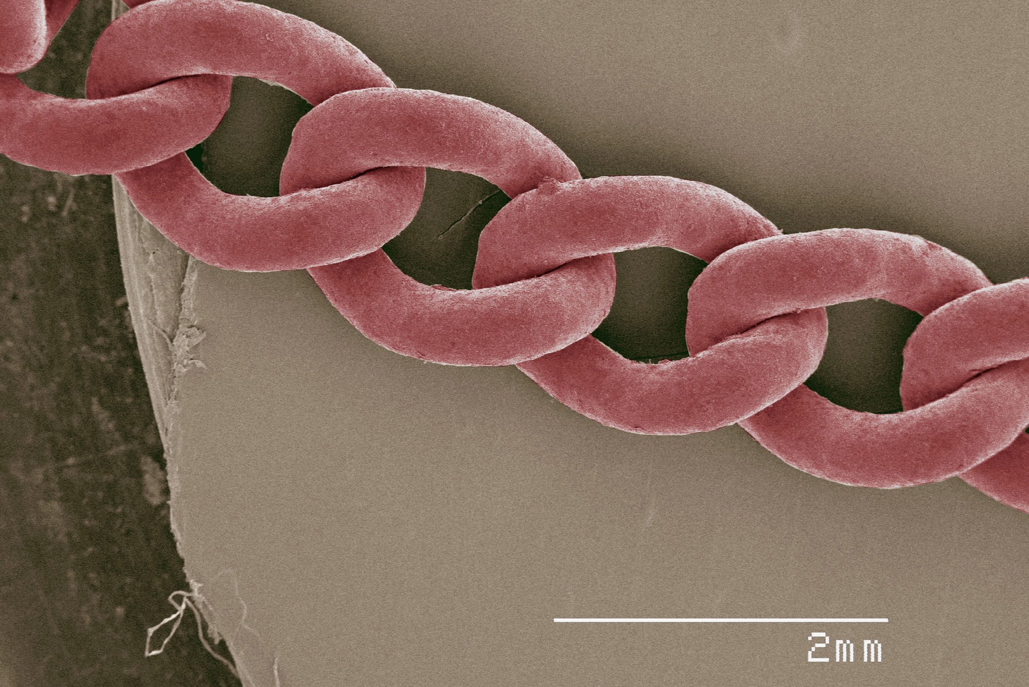 Coloured SEM of jewellery chain