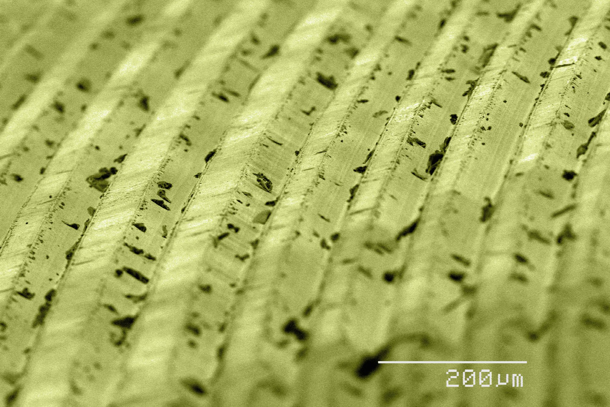 Coloured SEM of grooves on vinyl record