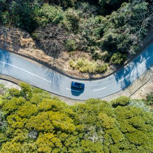 Car driving on a curvy road, surrounded by lush green forest and leafless trees, viewed from above.