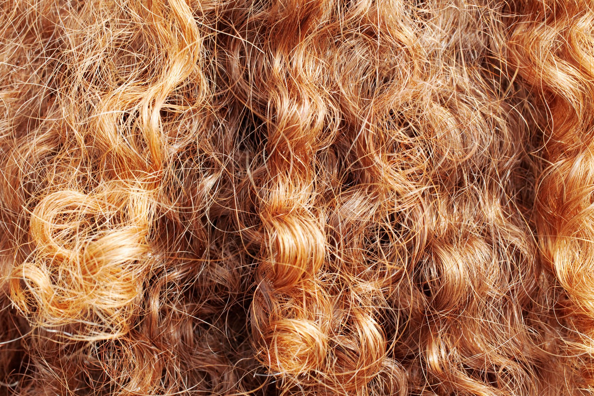 Woman's bright red locks of hair from behind