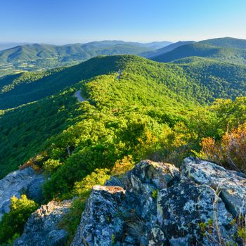 Lush mountains extend into the distance, covered with dense green forests, under a clear blue sky with sunlight illuminating rocks and foliage.