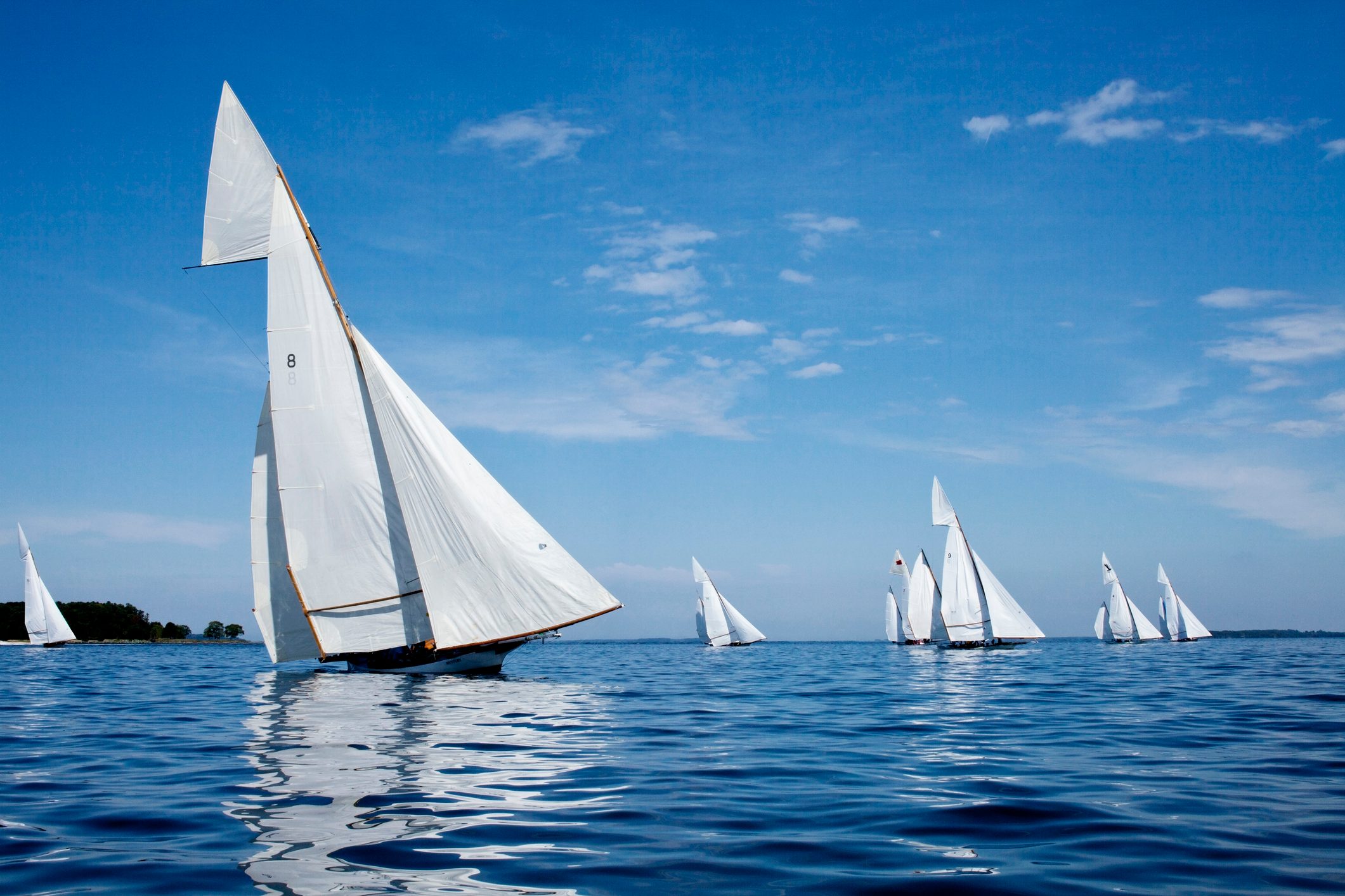 Log Canoe Sailing Regatta