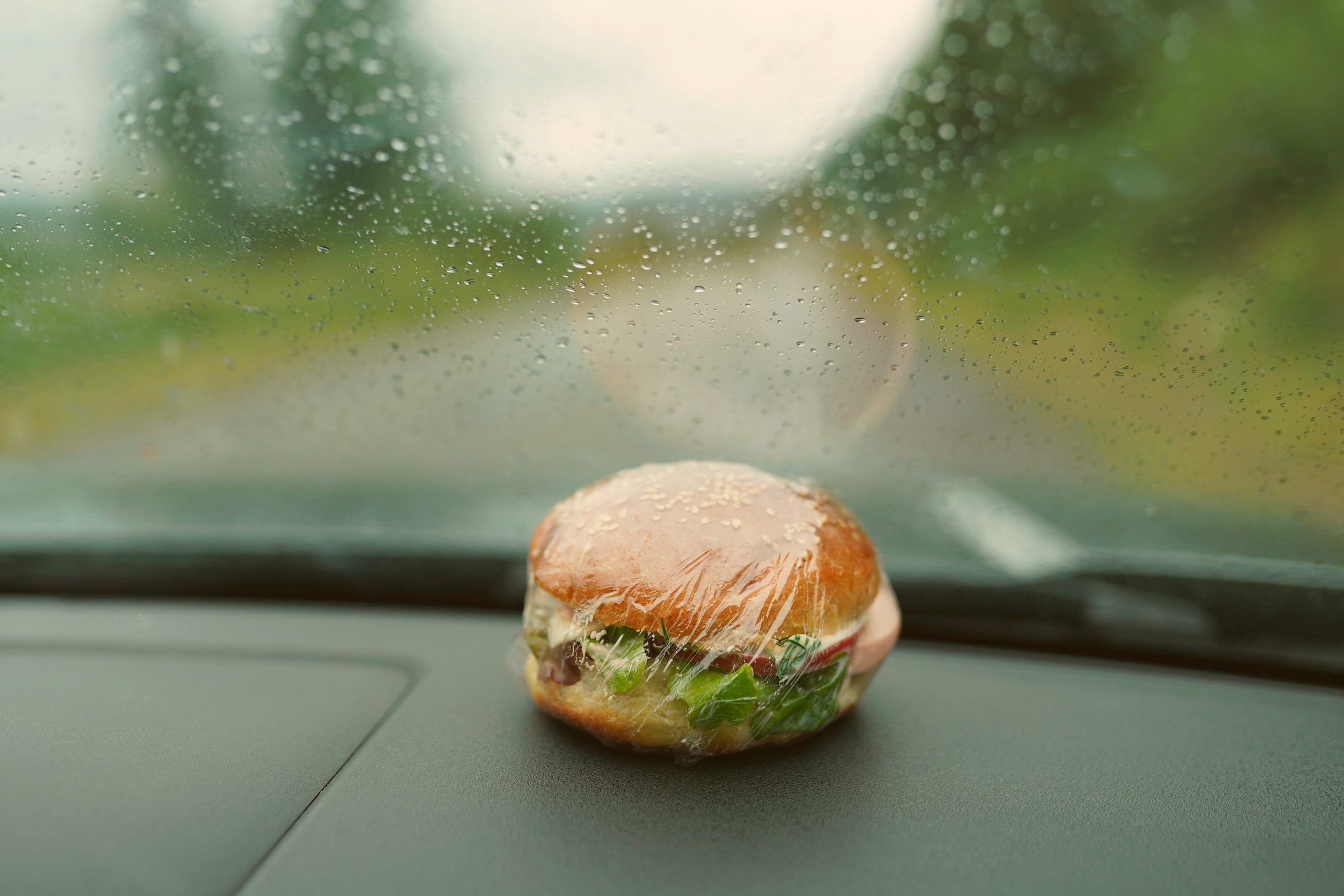 Why You Should Never Leave Food in the Car