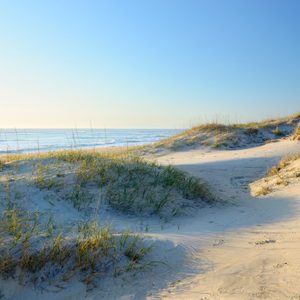 Sand dunes rest under a clear sky, with sea grasses swaying gently and ocean waves visible in the distance.