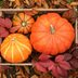 When Is the First Day of Fall? Fun Facts About the Fall Equinox
