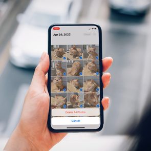 Hand holds smartphone displaying cat photos for deletion; background shows blurred city street.