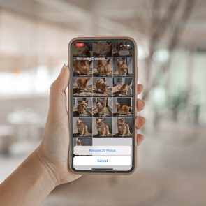 Hand holds a smartphone displaying a photo recovery app with images of a cat. The option to 