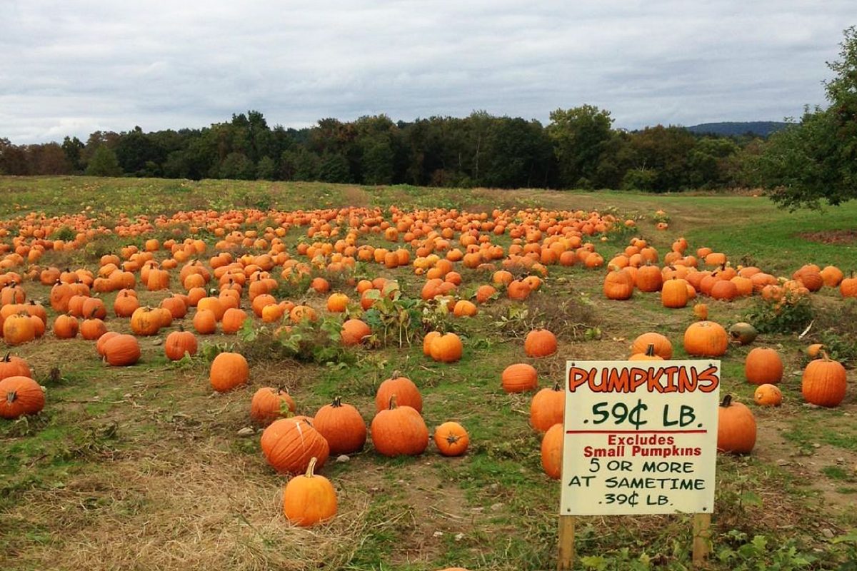 Barton Orchards Farm And Bakery In Poughquag New York