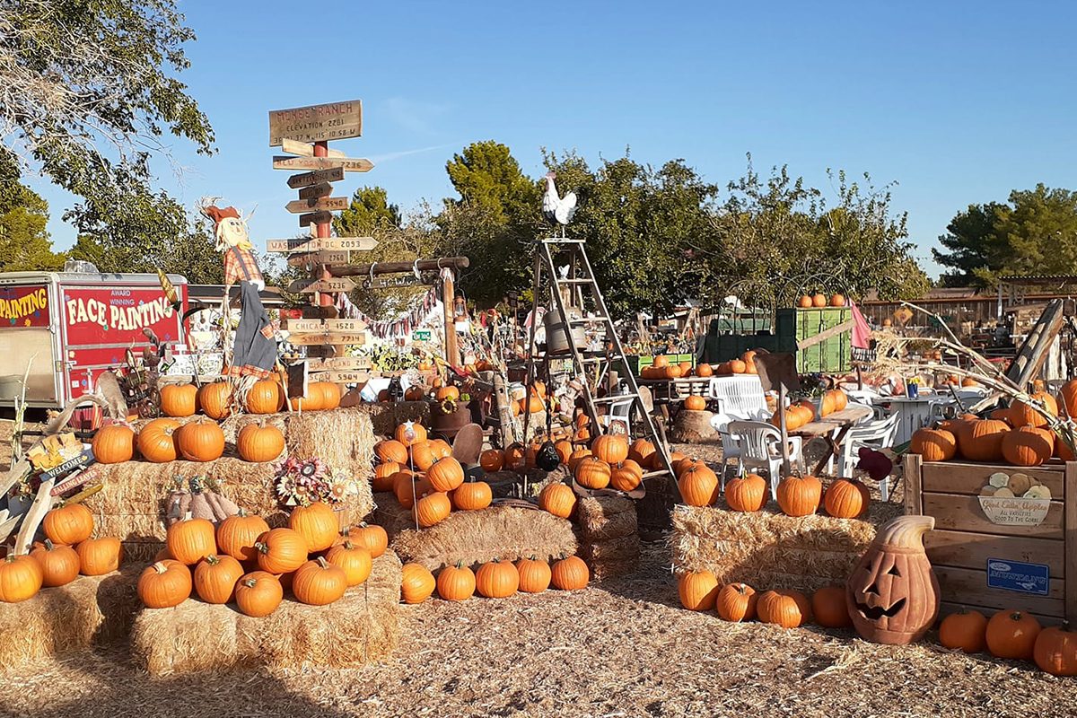 Mckee Ranch Foundation In Las Vegas Nevada