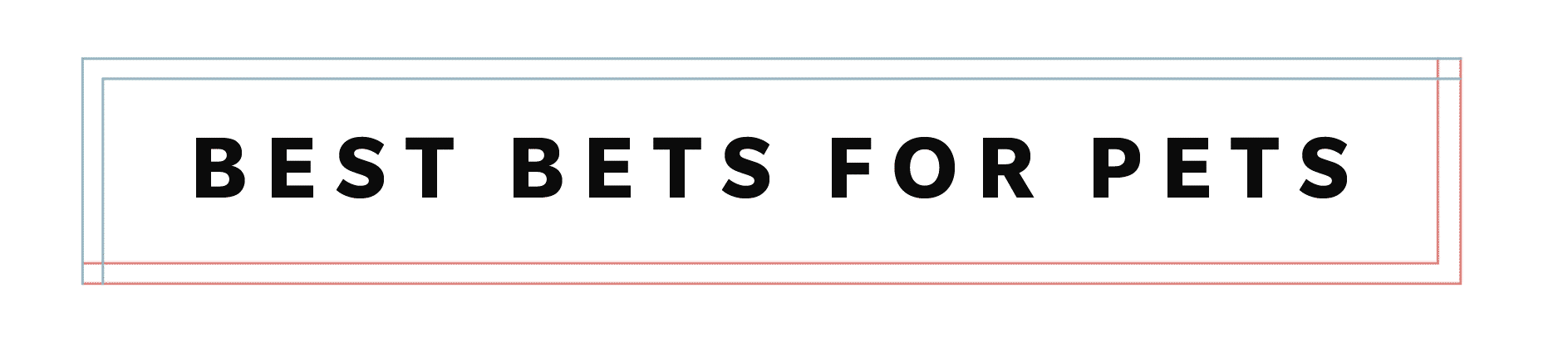 best bets for pets