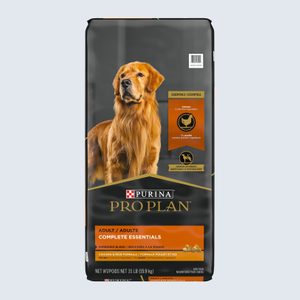 Dog food bag features a golden retriever, highlighting 