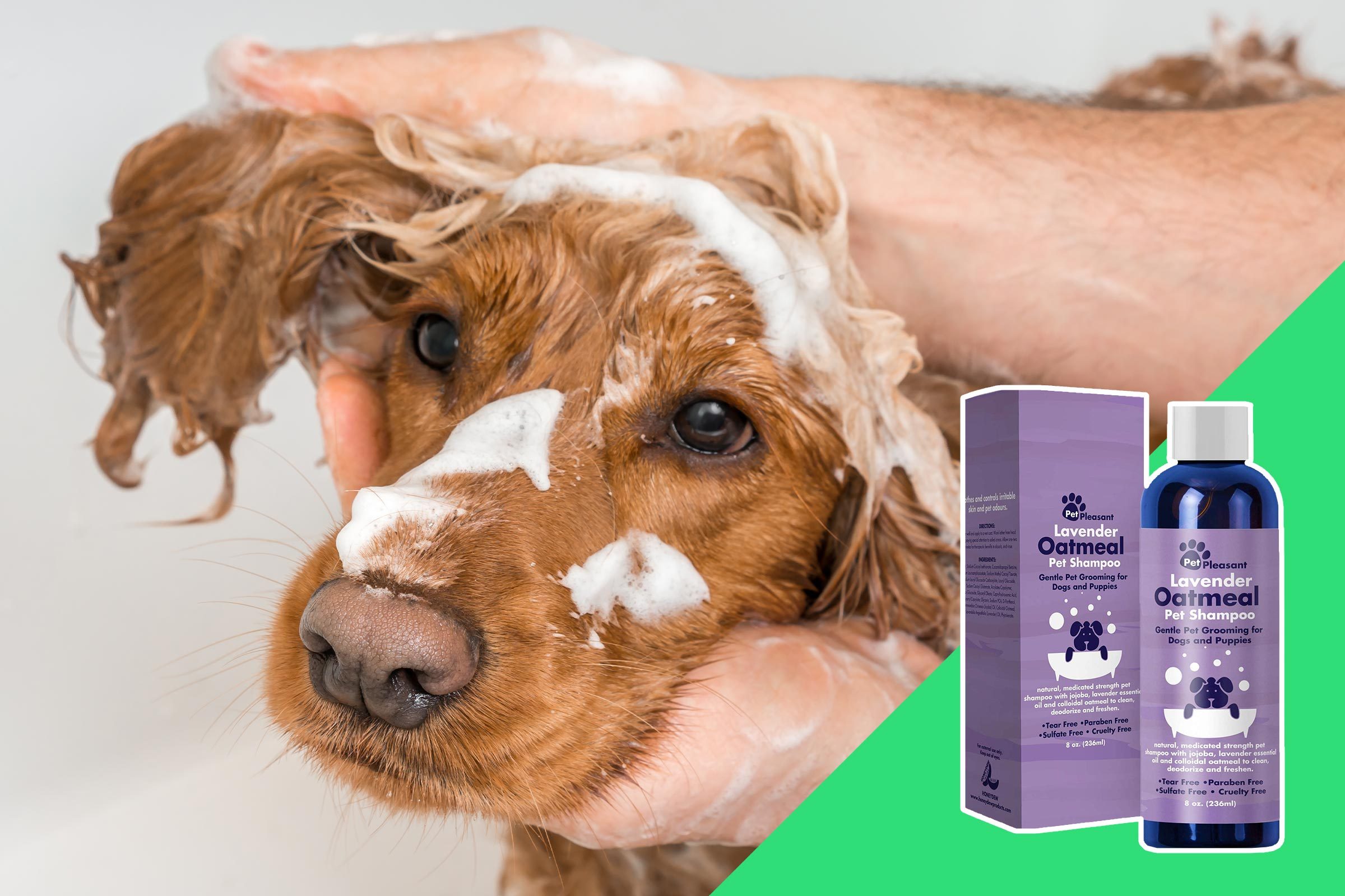 Washing a pet