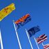 50 State Flags of America and the Meaning Behind Them