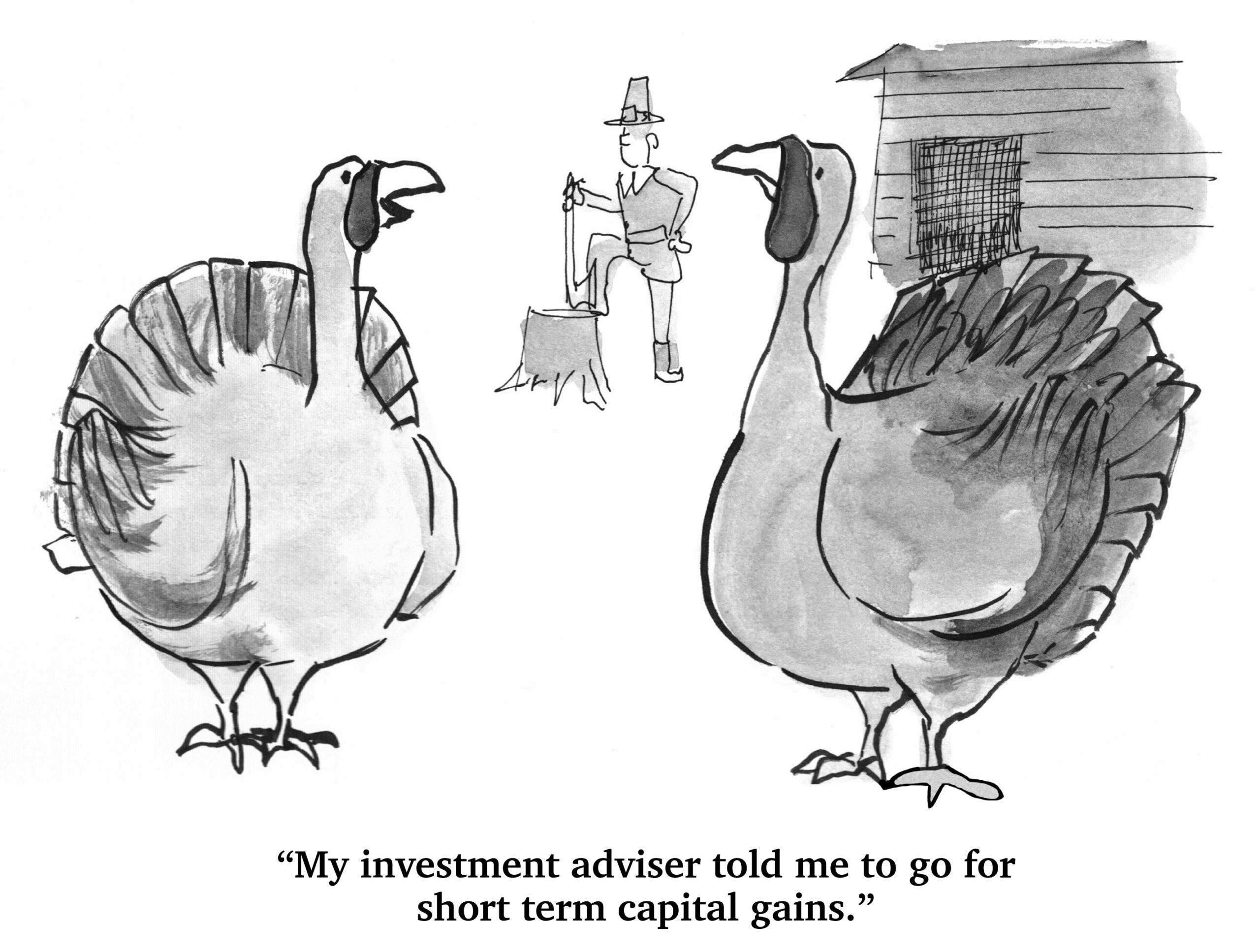 Two turkeys converse, one speaking, a farmer in the background with barn. Caption reads: â€œMy investment adviser told me to go for short term capital gains.â€