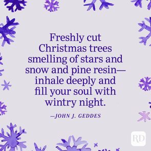 Text describes the scent of freshly cut Christmas trees, encouraging deep inhalation of the wintry atmosphere. Surrounded by purple snowflake designs.
