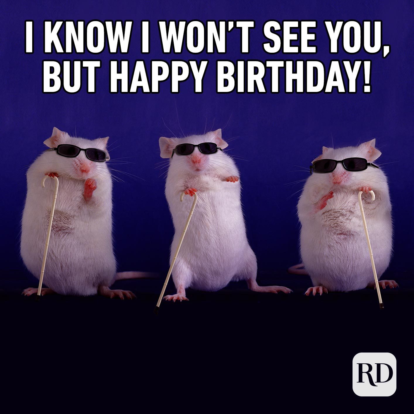 I know I won't see you, but Happy Birthday!