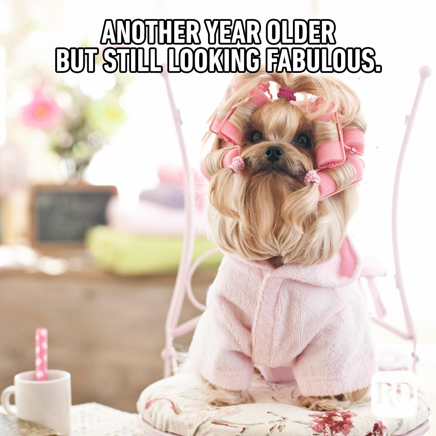Another year older, but still looking fabulous.