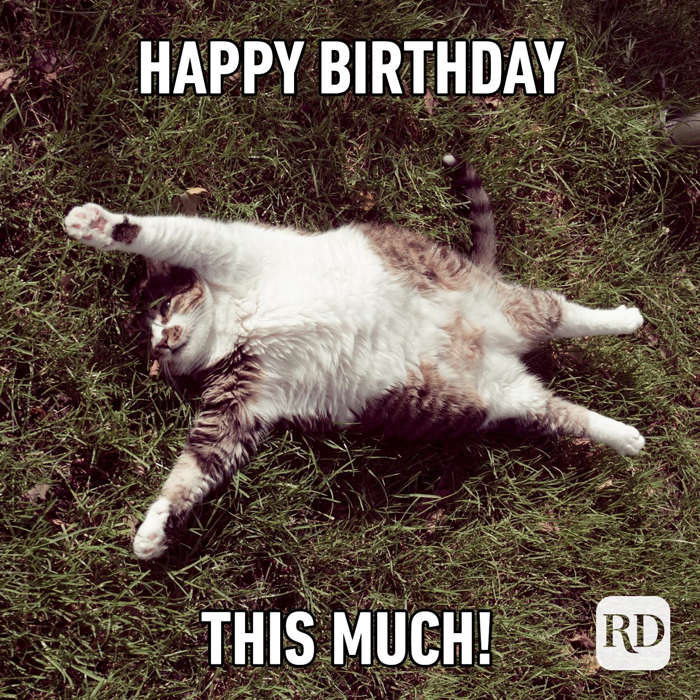 Happy Birthday this much!