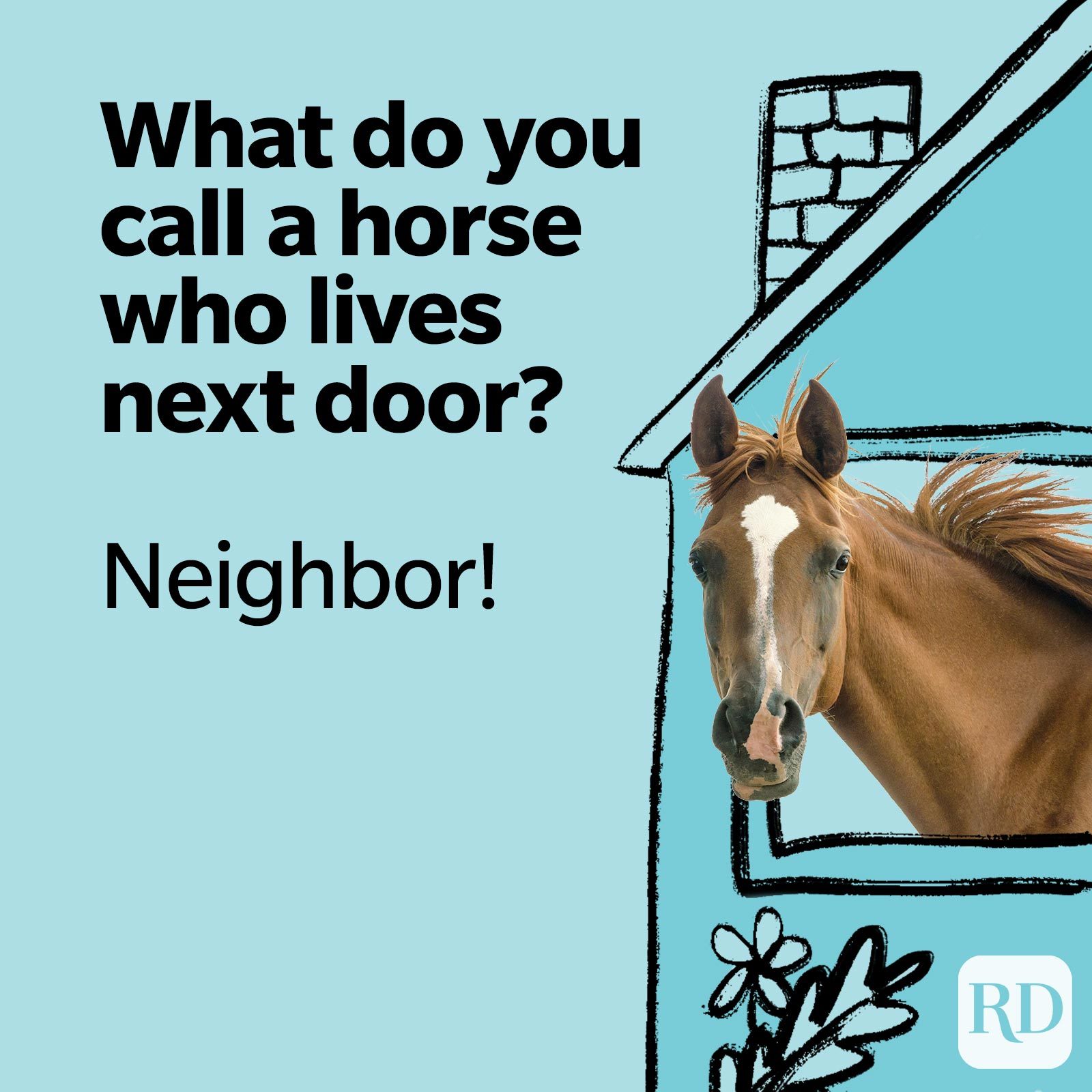 What do you call a horse that lives next door? Neighbor!