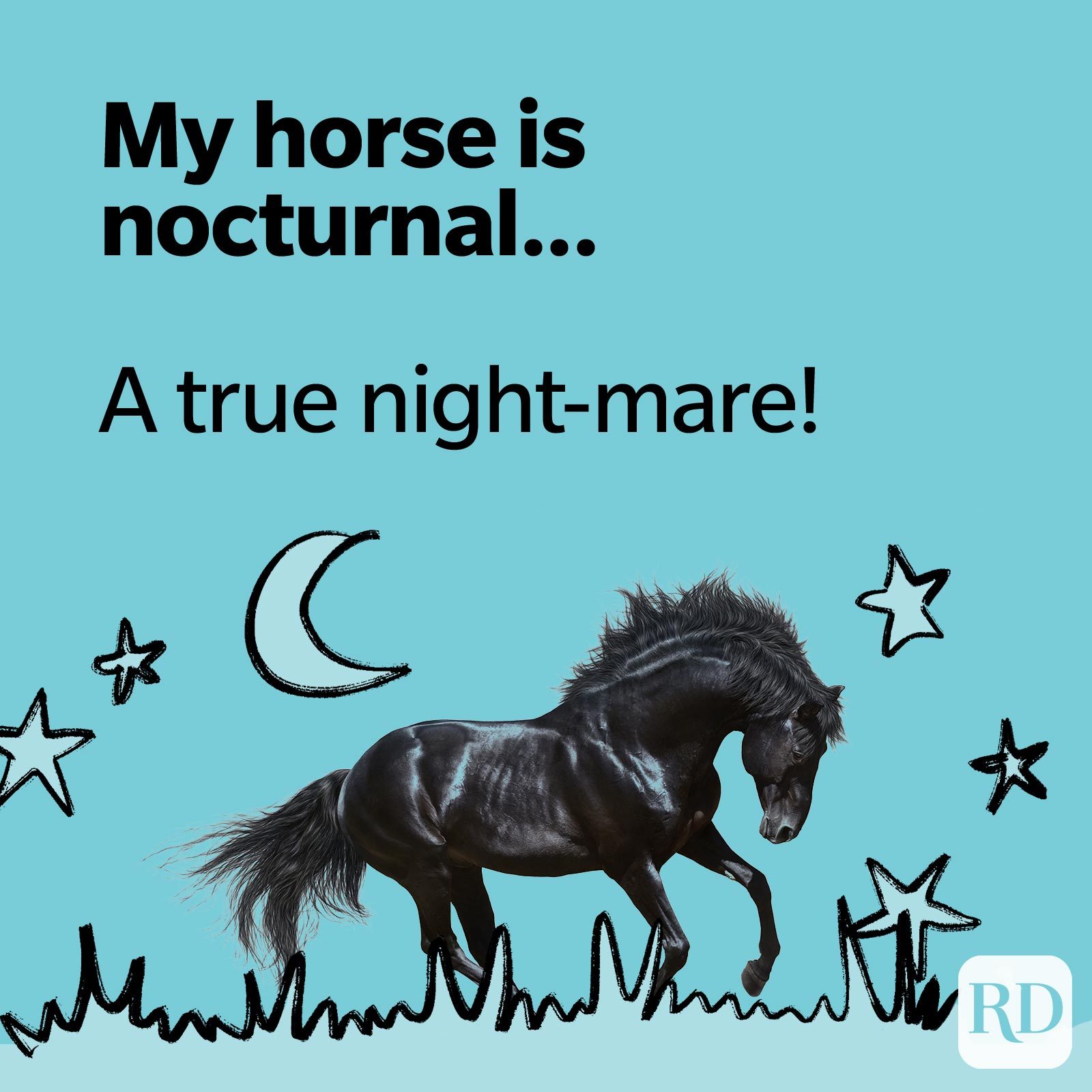 My horse is nocturnal… A true night-mare!