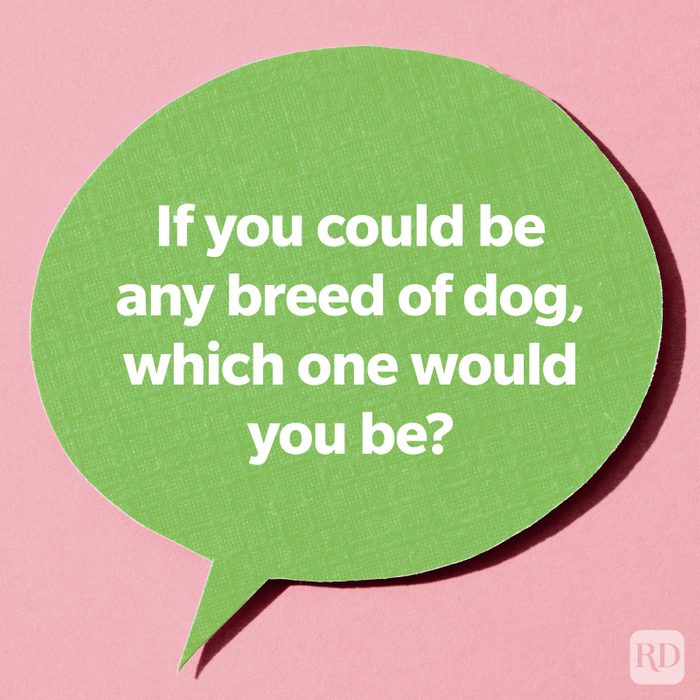 If you could be any breed of dog, which one would you be?