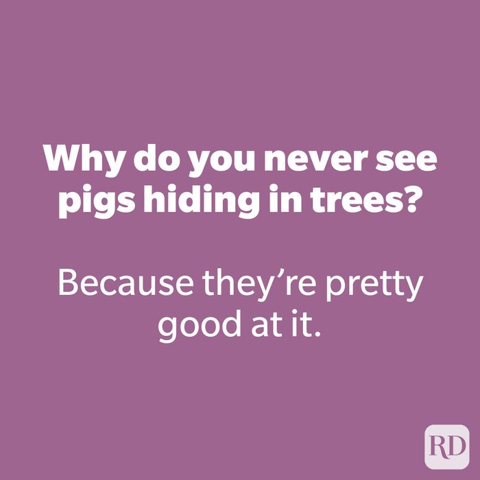 Why do you never see pigs hiding in trees?
