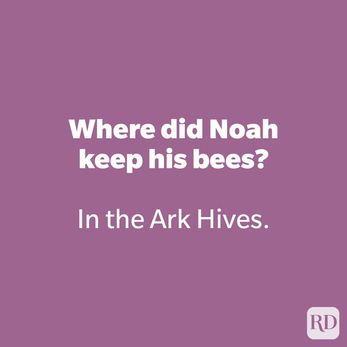 Where did Noah keep his bees?