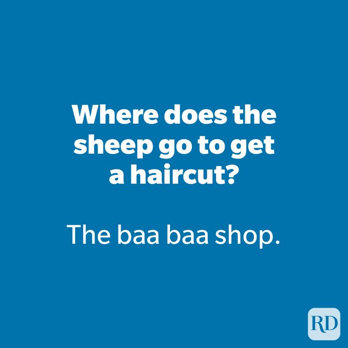 Where does the sheep go to get a haircut?