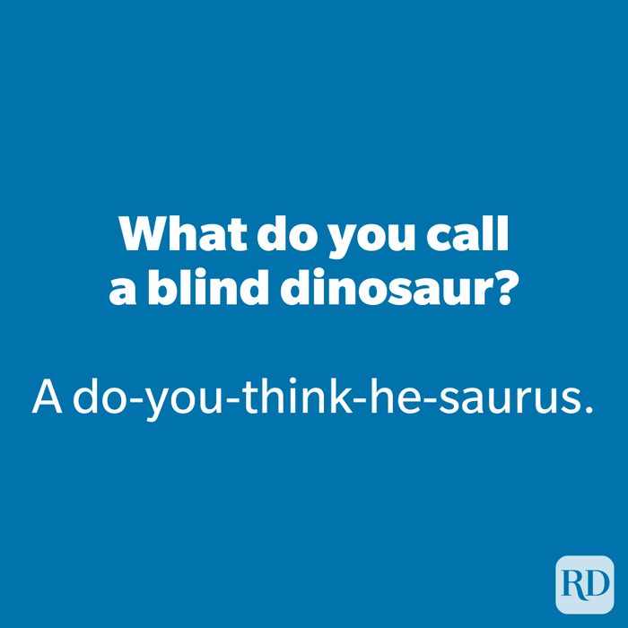What do you call a blind dinosaur?